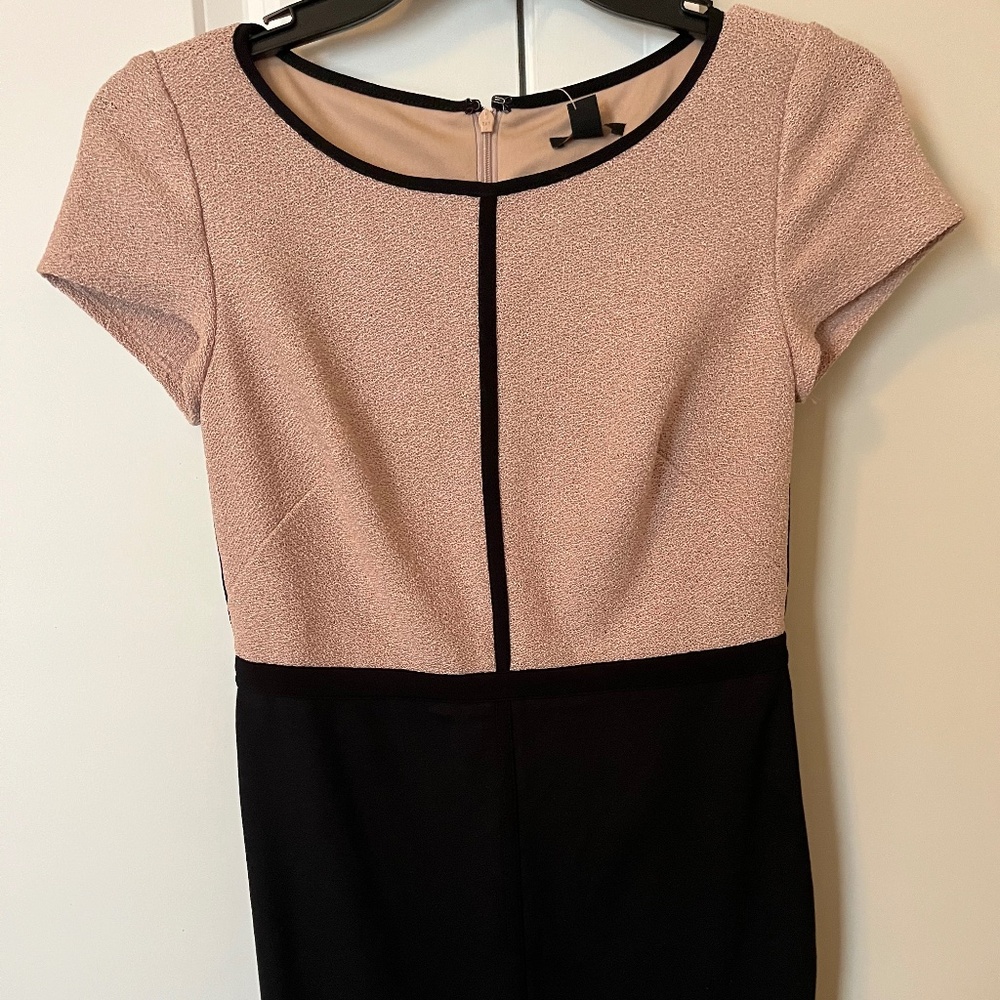Ann Taylor Blush and Black Dress - 00P